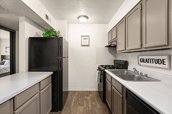 a kitchen with a black refrigerator and a sink