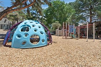 a playground with a blue dome climbing wall and a swing set