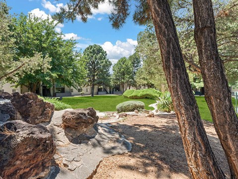a view of a park with trees and rocks