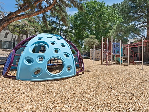 a playground at a park with a blue play dome