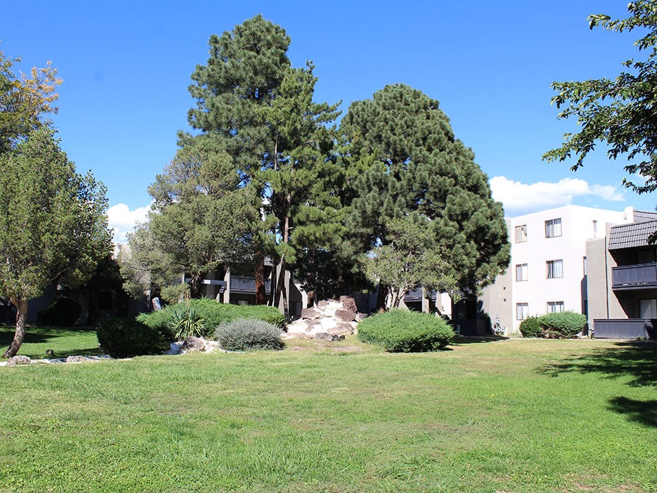 a grassy area with trees in the background