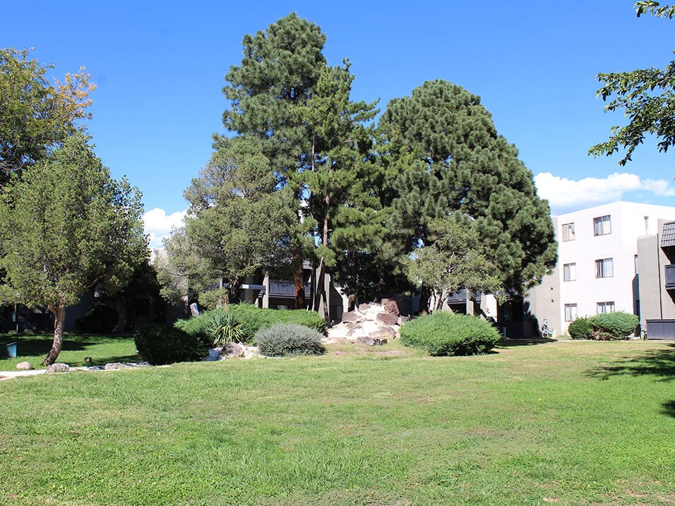 a grassy area with trees in the background
