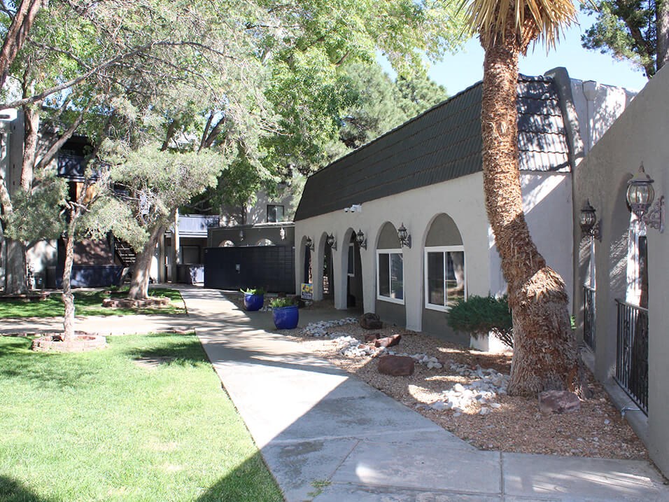 a house with a black roof and a palm tree in front of it