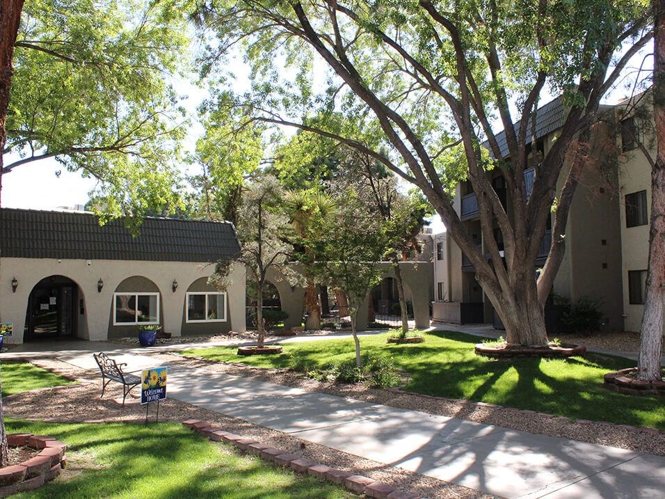 a courtyard with trees and a building in the background