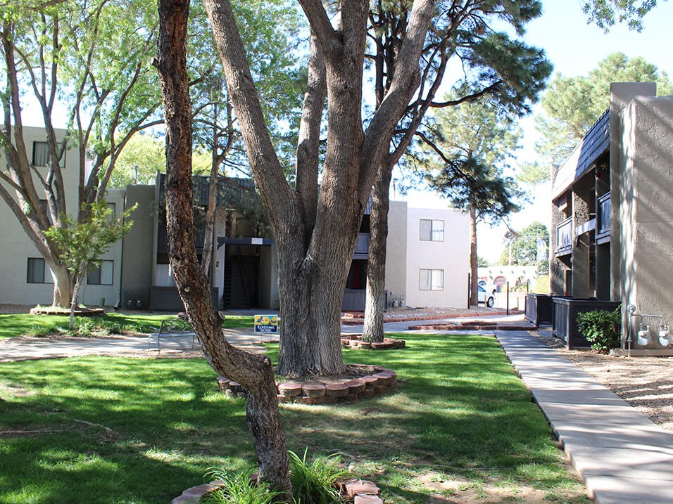 a grassy area with trees and buildings in the background