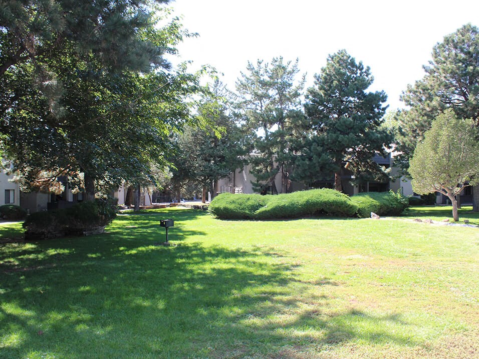 a grassy area with trees and bushes in front of a building