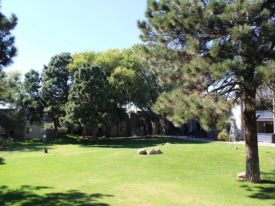 a large grassy area with trees in the background
