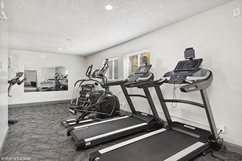 the gym has a lot of cardio equipment in it