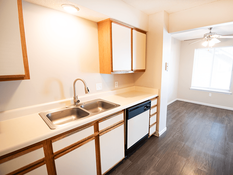 A kitchen with a sink and a dishwasher.