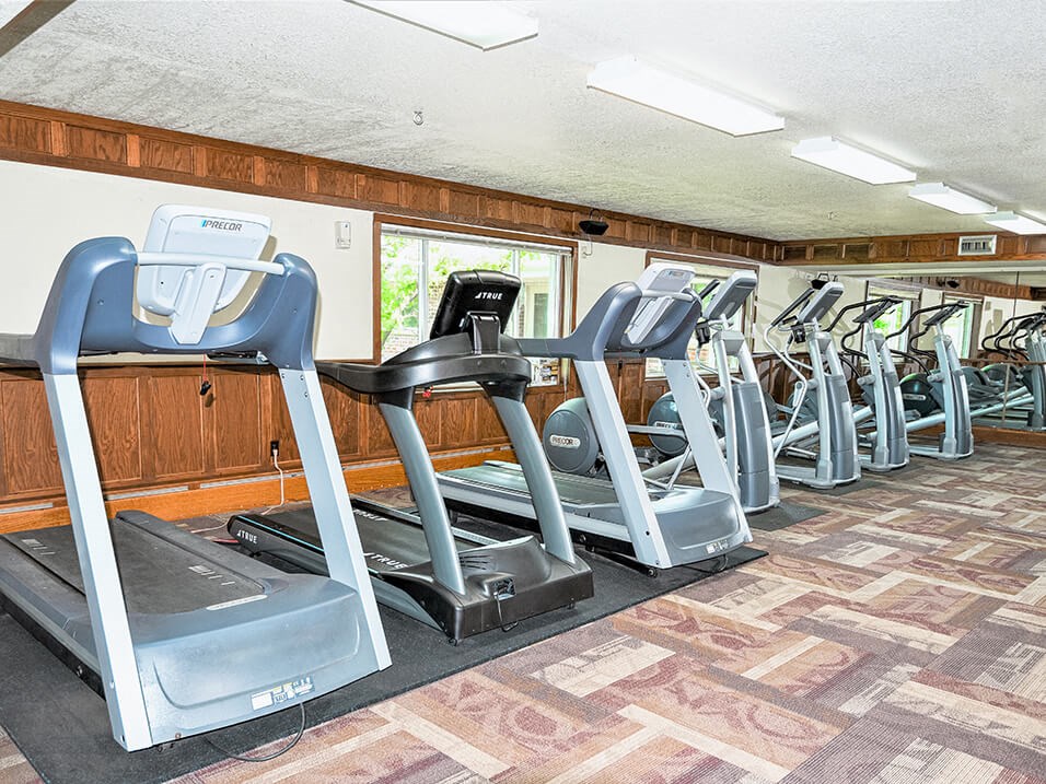 a row of treadmills and elliptical trainers in a fitness room