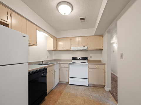 A kitchen with a white refrigerator and black dishwasher.