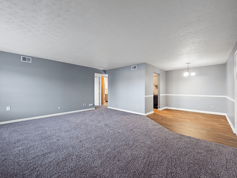 A room with grey walls and a carpeted floor.