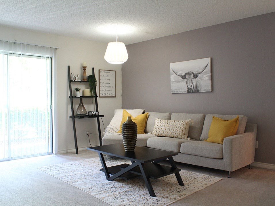 Spacious Apartment Living Room