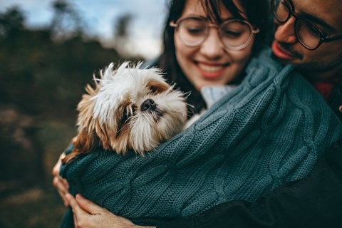 A person is holding a small dog wrapped in a teal blanket.