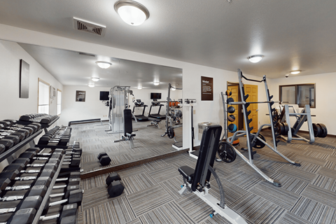 A gym with a variety of equipment including weights and a pull up bar.