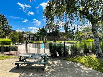 Pine Lake Manor swimming pool - Photo Gallery 5