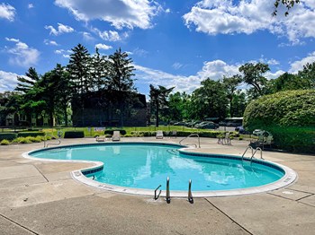 sparkling swimming pool at Pine Lake Manor - Photo Gallery 6