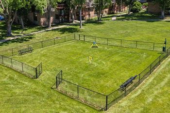 a dog park in the middle of a field