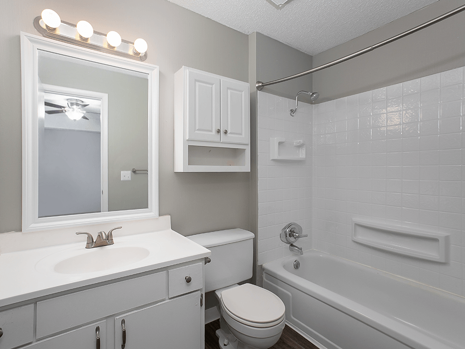 large bathroom apartments