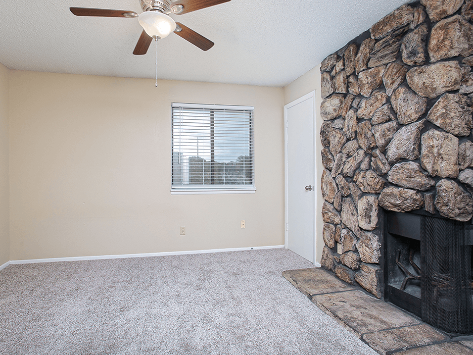 Wood-burning Fireplace in apartment