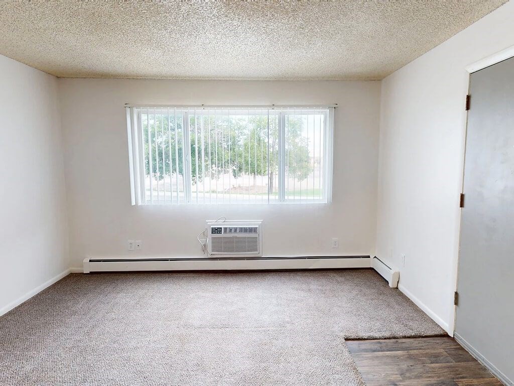 A room with a window and a carpet on the floor.