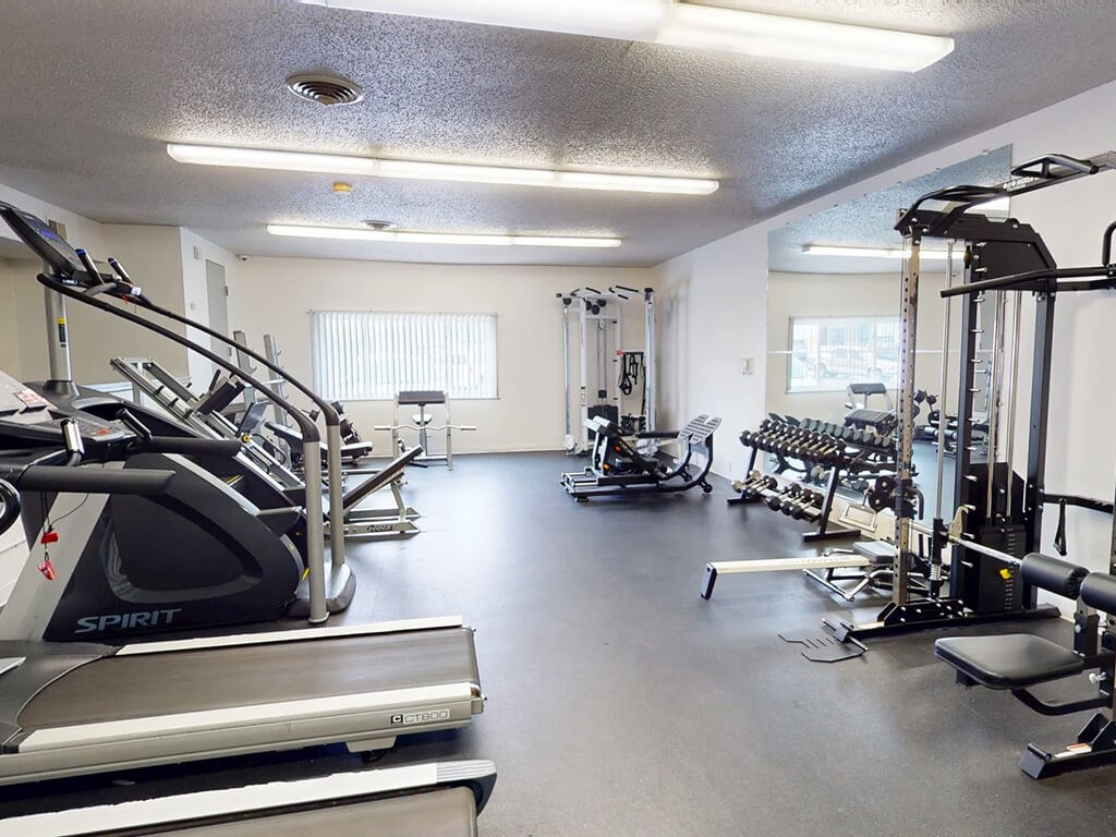 A gym with treadmills, weights, and other exercise equipment.