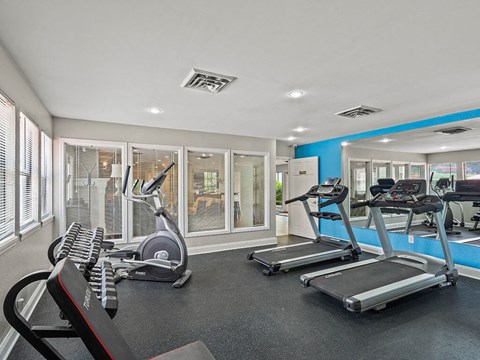 apartment gym is equipped with weights and cardio equipment