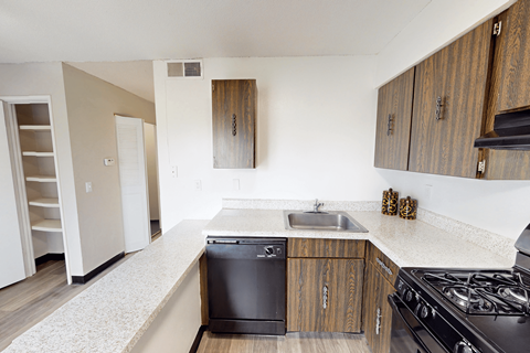 A kitchen with a black dishwasher and a black stove top oven.