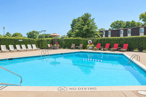 A pool with a no diving sign on the side.