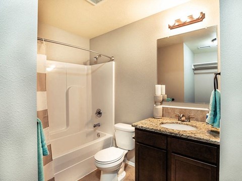 a bathroom with a shower toilet and sink