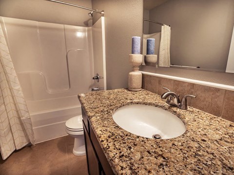 a bathroom with a sink and a toilet