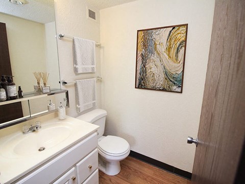 a bathroom with a sink toilet and mirror