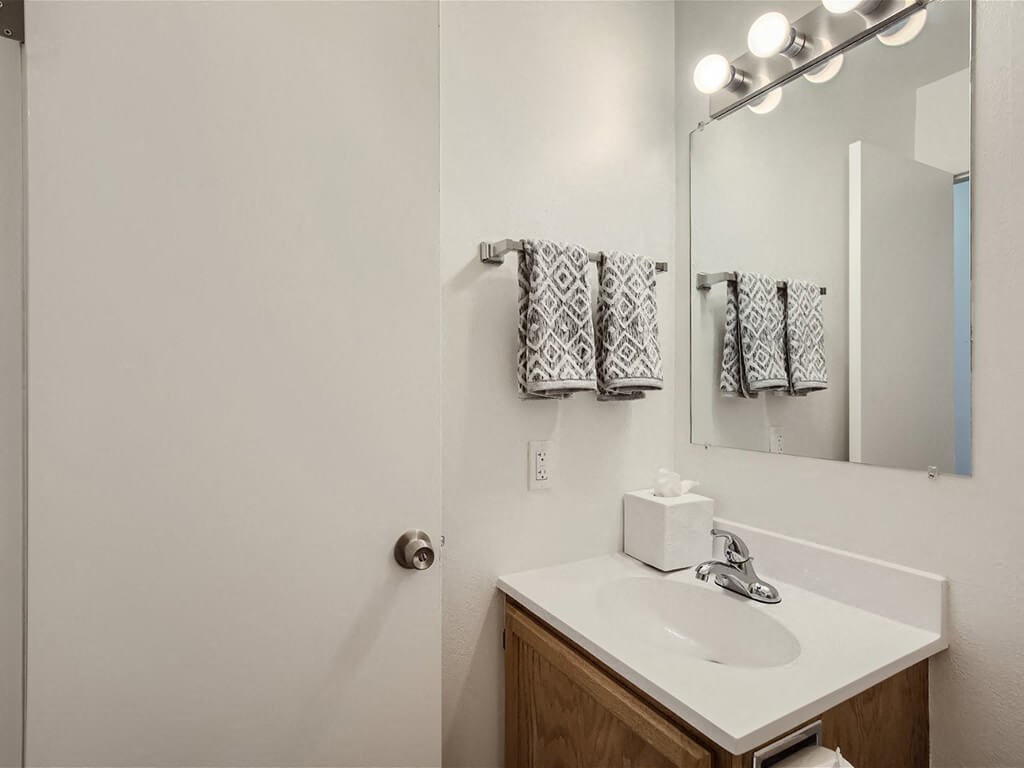bathroom with a sink and a mirror