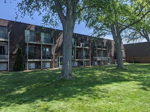 A large tree stands in front of a brick apartment building.