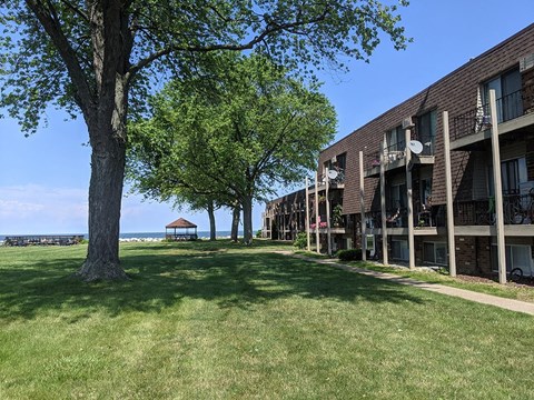 A grassy area in front of a building with a tree and a bench.
