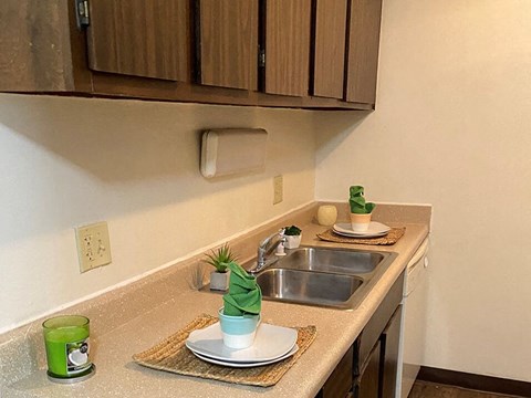 a kitchen with a sink and a counter with plants