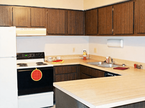 apartment kitchen cabinets