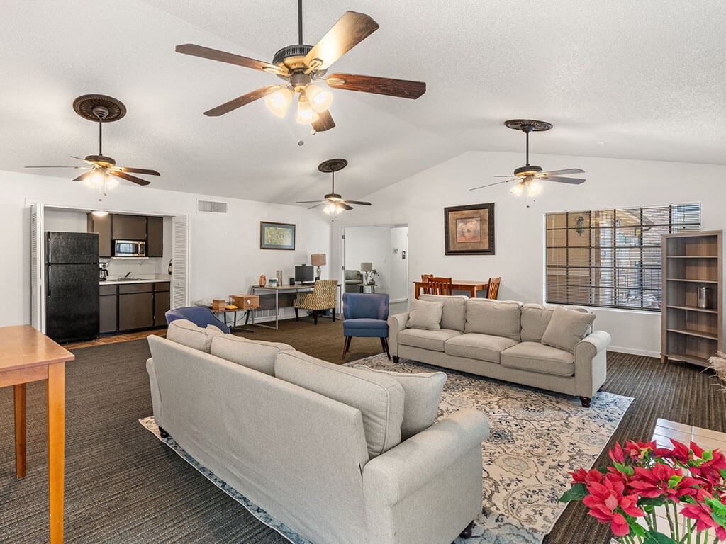 a living room and dining room with couches