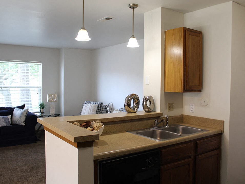 a kitchen with a sink and a dishwasher