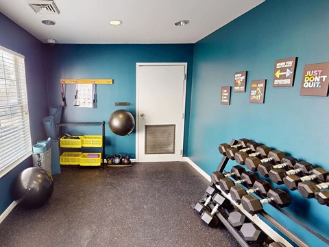 A gym room with a blue wall and a white door.