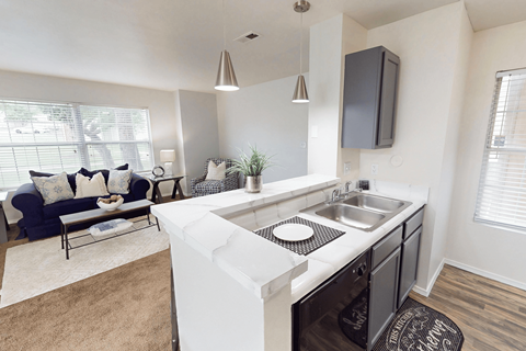 11011 Sugar Pines Ct 1-2 Beds Apartment for Rent