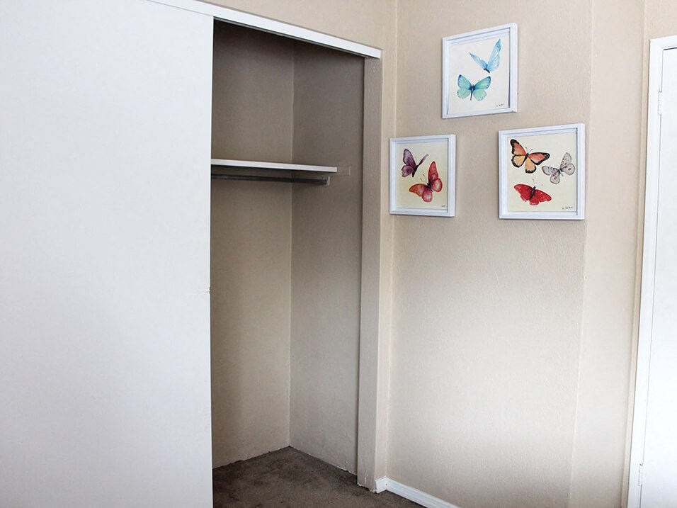 a closet with a sliding door and three pictures of butterflies on the wall
