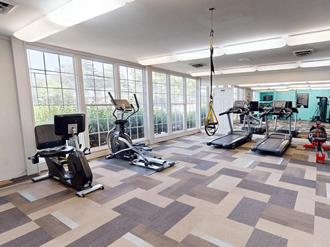 A gym with a variety of exercise equipment.
