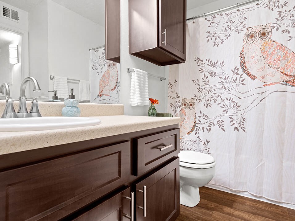 a bathroom with a toilet and a sink and a shower