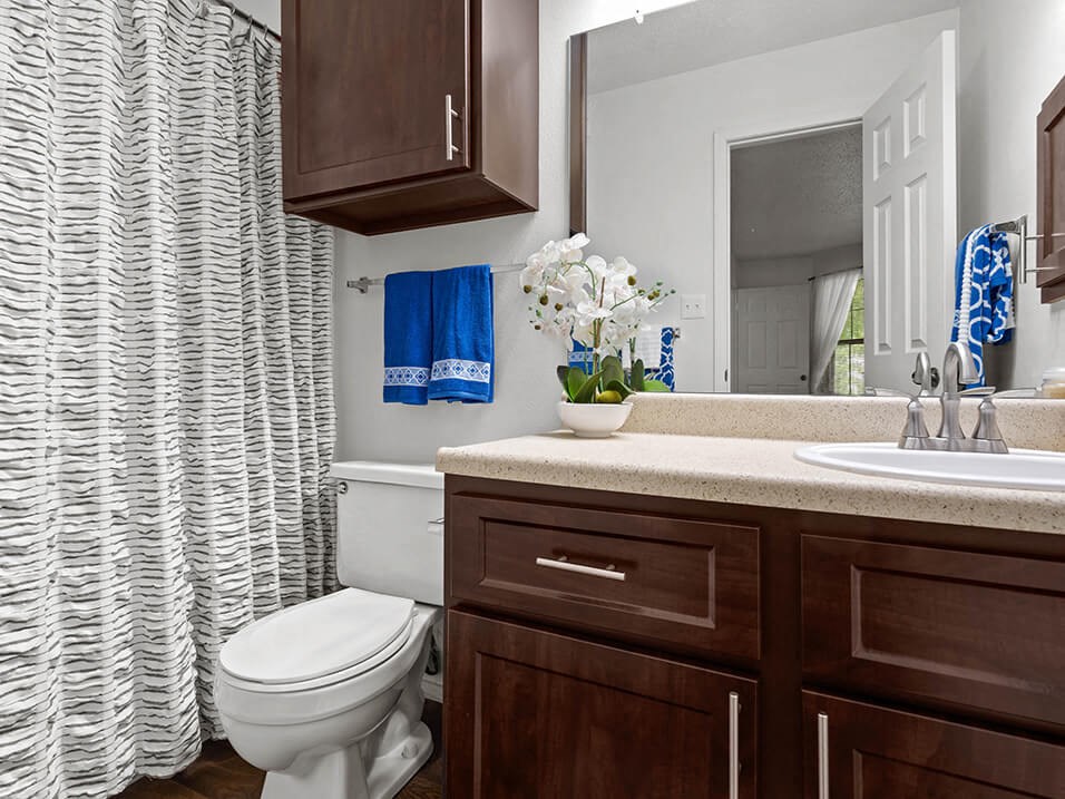 a bathroom with a toilet and a sink and a mirror