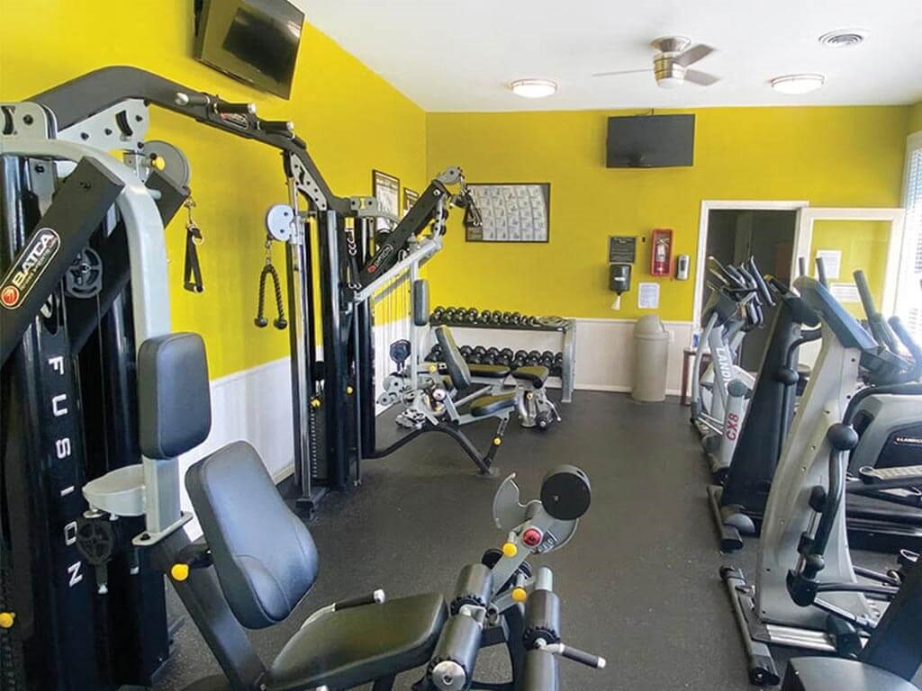 a gym with weights and cardio equipment in a home gym