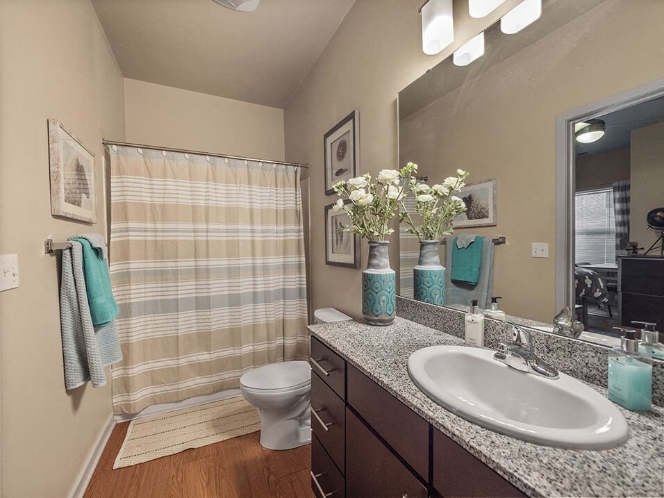 a bathroom with a toilet sink mirror and shower