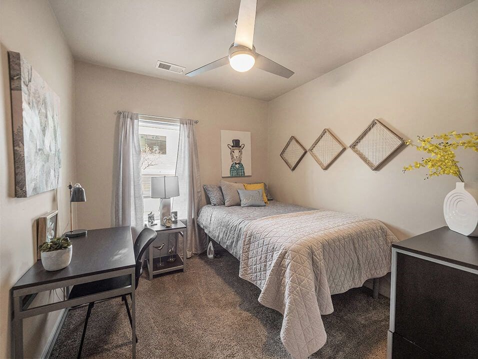 a bedroom with ceiling fan