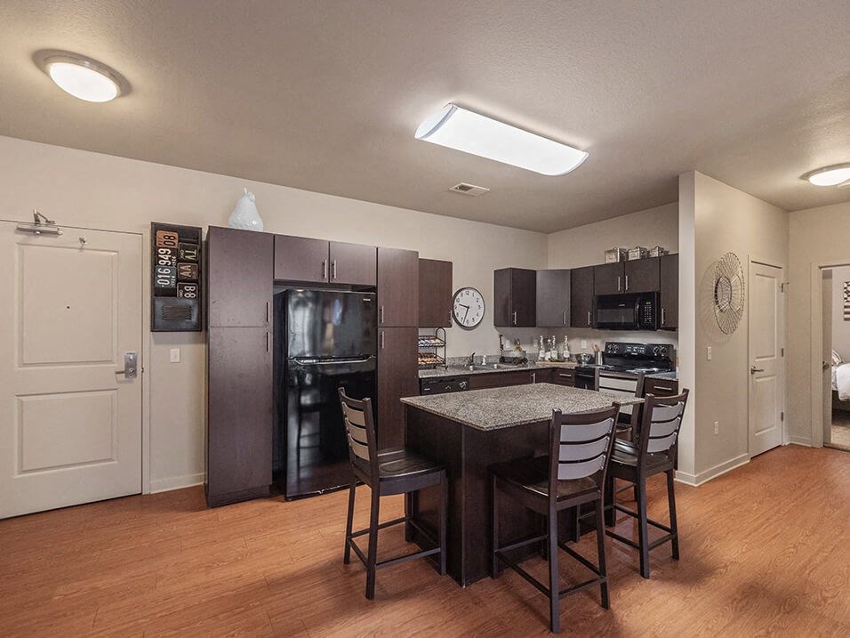 Black Kitchen Appliances and granite countertop