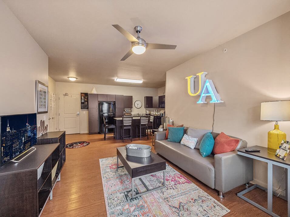 apartment living room with a couch and TV